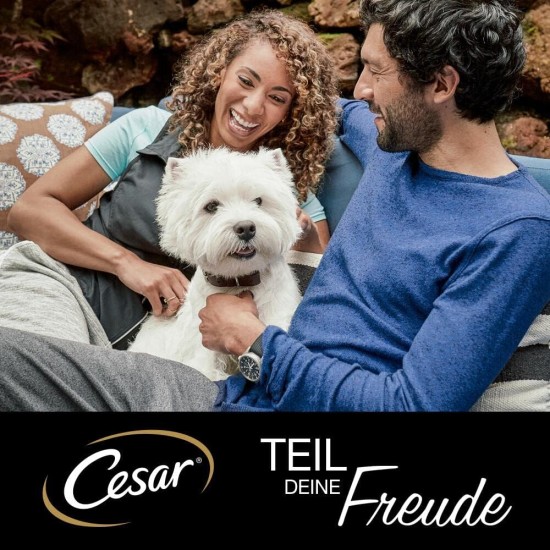 Cesar Senior 10+ Wet Dog Food with Delicate Chicken and Rice in Jelly, 14 Bowls (14 x 150 g) Cesar Senior 10+ Wet Dog Food with Delicate Chicken and Rice in Jelly, 14 Bowls (14 x 150 g)