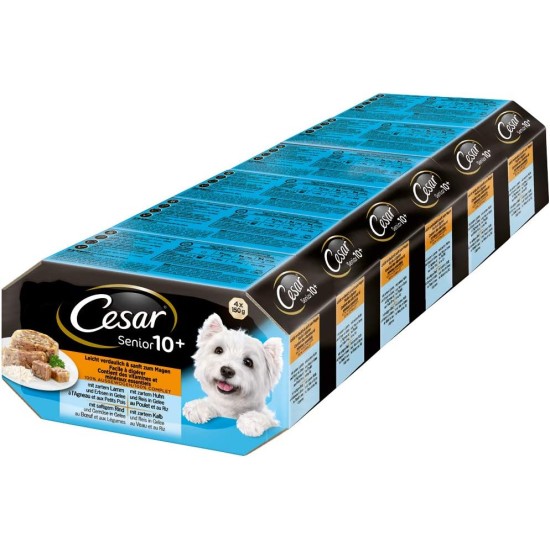 Cesar Wet Dog Food, Classic in Pie, Different Varieties Cesar Wet Dog Food, Classic in Pie, Different Varieties