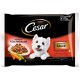 Cesar Wet Dog Food In Fresh Sachet, Jelly Selection Cesar Wet Dog Food In Fresh Sachet, Jelly Selection