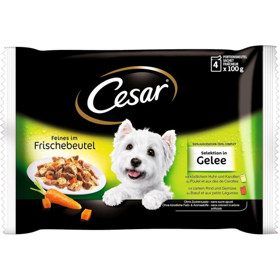 Cesar Wet Dog Food In Fresh Sachet, Jelly Selection Cesar Wet Dog Food In Fresh Sachet, Jelly Selection