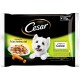 Cesar Wet Dog Food In Fresh Sachet, Jelly Selection Cesar Wet Dog Food In Fresh Sachet, Jelly Selection