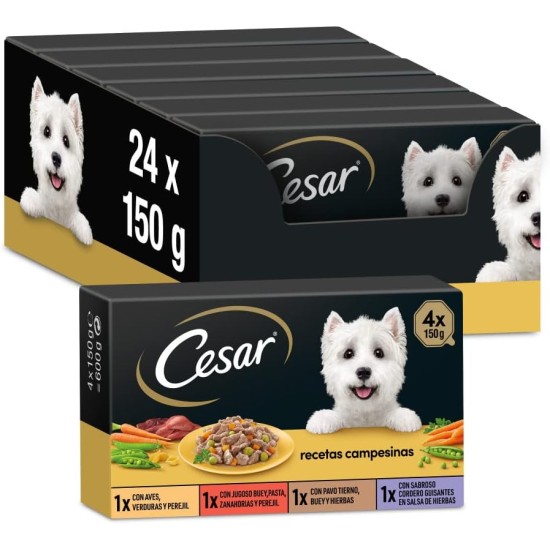 Cesar Wet Dog Food Selection of Classics in Pate Multipack (3 x 8 Cups x 150 g) Cesar Wet Dog Food Selection of Classics in Pate Multipack (3 x 8 Cups x 150 g)