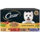 Cesar Wet Dog Food Selection of Classics in Pate Multipack (3 x 8 Cups x 150 g) Cesar Wet Dog Food Selection of Classics in Pate Multipack (3 x 8 Cups x 150 g)