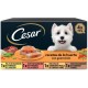Cesar Wet Dog Food Selection of Classics in Pate Multipack (3 x 8 Cups x 150 g) Cesar Wet Dog Food Selection of Classics in Pate Multipack (3 x 8 Cups x 150 g)