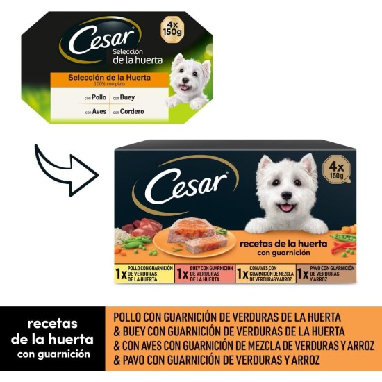 Cesar Wet Dog Food Selection of Classics in Pate Multipack (3 x 8 Cups x 150 g) Cesar Wet Dog Food Selection of Classics in Pate Multipack (3 x 8 Cups x 150 g)
