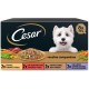 Cesar Wet Dog Food Selection of Classics in Pate Multipack (3 x 8 Cups x 150 g) Cesar Wet Dog Food Selection of Classics in Pate Multipack (3 x 8 Cups x 150 g)