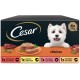 Cesar Wet Dog Food Selection of Classics in Pate Multipack (3 x 8 Cups x 150 g) Cesar Wet Dog Food Selection of Classics in Pate Multipack (3 x 8 Cups x 150 g)