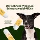 Chōmi Dog Super Sausage Fresh Chicken & Veggie Pack of 8 | (200 g x 8) Dog Food | Wet Food for Dogs | Chicken Sausage for Dogs | Adult | Grain-Free and Preservative Free | with Algae | Barf Chōmi Dog Super Sausage Fresh Chicken & Veggie Pack of 8 | (200 g x 8) Dog Food | Wet Food for Dogs | Chicken Sausage for Dogs | Adult | Grain-Free and Preservative Free | with Algae | Barf