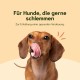 Chōmi Dog Super Sausage Fresh Chicken & Veggie Pack of 8 (400 g x 8) Dog Food Wet Food for Dogs Chicken Sausage for Dogs Adult Grain-Free and Preservative Free with Algae Barf Chōmi Dog Super Sausage Fresh Chicken & Veggie Pack of 8 (400 g x 8) Dog Food Wet Food for Dogs Chicken Sausage for Dogs Adult Grain-Free and Preservative Free with Algae Barf