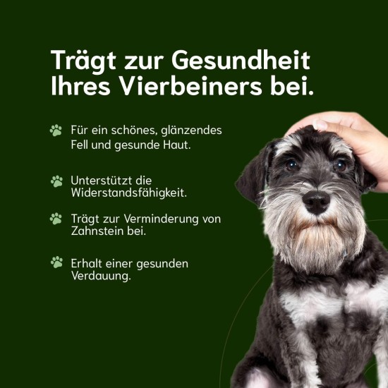 Chōmi Dog Super Sausage Fresh Chicken & Veggie Pack of 8 (400 g x 8) Dog Food Wet Food for Dogs Chicken Sausage for Dogs Adult Grain-Free and Preservative Free with Algae Barf Chōmi Dog Super Sausage Fresh Chicken & Veggie Pack of 8 (400 g x 8) Dog Food Wet Food for Dogs Chicken Sausage for Dogs Adult Grain-Free and Preservative Free with Algae Barf