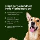 Chōmi Dog Super Sausage Fresh Chicken & Veggie Pack of 8 (400 g x 8) Dog Food Wet Food for Dogs Chicken Sausage for Dogs Adult Grain-Free and Preservative Free with Algae Barf Chōmi Dog Super Sausage Fresh Chicken & Veggie Pack of 8 (400 g x 8) Dog Food Wet Food for Dogs Chicken Sausage for Dogs Adult Grain-Free and Preservative Free with Algae Barf