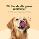Chōmi Dog Super Sausage Fresh Chicken & Veggie Pack of 8 (400 g x 8) Dog Food Wet Food for Dogs Chicken Sausage for Dogs Adult Grain-Free and Preservative Free with Algae Barf Chōmi Dog Super Sausage Fresh Chicken & Veggie Pack of 8 (400 g x 8) Dog Food Wet Food for Dogs Chicken Sausage for Dogs Adult Grain-Free and Preservative Free with Algae Barf