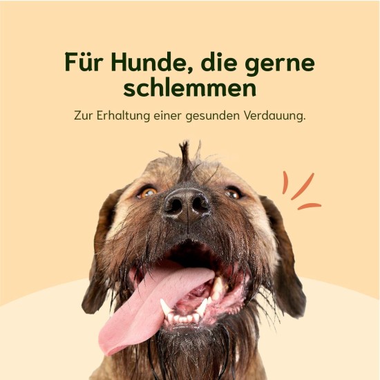 Chōmi Dog Super Sausage Fresh Chicken & Veggie Pack of 8 (400 g x 8) Dog Food Wet Food for Dogs Chicken Sausage for Dogs Adult Grain-Free and Preservative Free with Algae Barf Chōmi Dog Super Sausage Fresh Chicken & Veggie Pack of 8 (400 g x 8) Dog Food Wet Food for Dogs Chicken Sausage for Dogs Adult Grain-Free and Preservative Free with Algae Barf