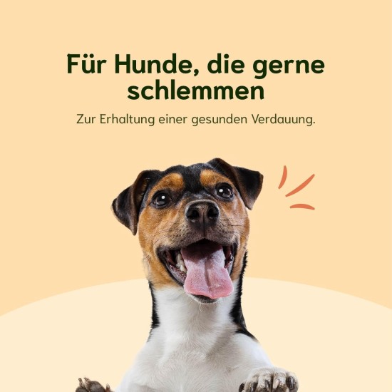 Chōmi Dog Super Sausage Fresh Chicken & Veggie Pack of 8 (400 g x 8) Dog Food Wet Food for Dogs Chicken Sausage for Dogs Adult Grain-Free and Preservative Free with Algae Barf Chōmi Dog Super Sausage Fresh Chicken & Veggie Pack of 8 (400 g x 8) Dog Food Wet Food for Dogs Chicken Sausage for Dogs Adult Grain-Free and Preservative Free with Algae Barf