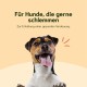 Chōmi Dog Super Sausage Fresh Chicken & Veggie Pack of 8 (400 g x 8) Dog Food Wet Food for Dogs Chicken Sausage for Dogs Adult Grain-Free and Preservative Free with Algae Barf Chōmi Dog Super Sausage Fresh Chicken & Veggie Pack of 8 (400 g x 8) Dog Food Wet Food for Dogs Chicken Sausage for Dogs Adult Grain-Free and Preservative Free with Algae Barf