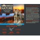 Dehner Wild Nature Wet Dog Food, Junior / Adult / Senior, Various Types and Sizes Dehner Wild Nature Wet Dog Food, Junior / Adult / Senior, Various Types and Sizes