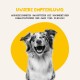 Dogs'n Tiger Monoprotein Lambfromm, Premium Wet Dog Food for Puppies with Lamb and Pumpkin - No Cereals, Added Sugar, Optimal Compatibility, 6 x 400 g Dogs'n Tiger Monoprotein Lambfromm, Premium Wet Dog Food for Puppies with Lamb and Pumpkin - No Cereals, Added Sugar, Optimal Compatibility, 6 x 400 g