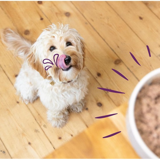 Edgard & Cooper Wet Dog Food (Chicken & Turkey, 150g x 11), Grain Free, Natural Ingredients and Fresh Meat, Full of Essential Amino Acids Edgard & Cooper Wet Dog Food (Chicken & Turkey, 150g x 11), Grain Free, Natural Ingredients and Fresh Meat, Full of Essential Amino Acids