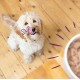 Edgard & Cooper Wet Dog Food (Chicken & Turkey, 150g x 11), Grain Free, Natural Ingredients and Fresh Meat, Full of Essential Amino Acids Edgard & Cooper Wet Dog Food (Chicken & Turkey, 150g x 11), Grain Free, Natural Ingredients and Fresh Meat, Full of Essential Amino Acids