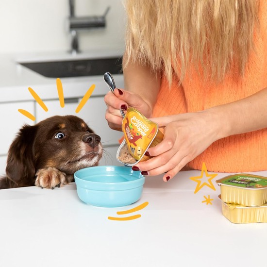 Edgard & Cooper Wet Dog Food (Chicken & Turkey, 150g x 11), Grain Free, Natural Ingredients and Fresh Meat, Full of Essential Amino Acids Edgard & Cooper Wet Dog Food (Chicken & Turkey, 150g x 11), Grain Free, Natural Ingredients and Fresh Meat, Full of Essential Amino Acids