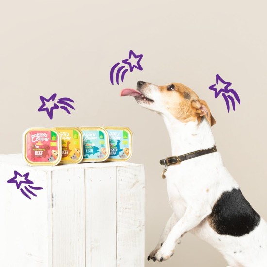 Edgard Cooper Puppy Grain-Free Wet Food for Dogs (Duck & Chicken 11 x 150 g), Natural Dog Food in Cup with Fresh Meat & Amino Acids, Gluten-Free, Protein Rich Edgard Cooper Puppy Grain-Free Wet Food for Dogs (Duck & Chicken 11 x 150 g), Natural Dog Food in Cup with Fresh Meat & Amino Acids, Gluten-Free, Protein Rich
