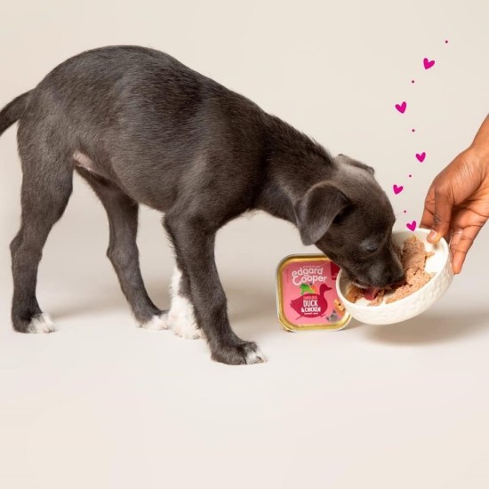Edgard Cooper Puppy Grain-Free Wet Food for Dogs (Duck & Chicken 11 x 150 g), Natural Dog Food in Cup with Fresh Meat & Amino Acids, Gluten-Free, Protein Rich Edgard Cooper Puppy Grain-Free Wet Food for Dogs (Duck & Chicken 11 x 150 g), Natural Dog Food in Cup with Fresh Meat & Amino Acids, Gluten-Free, Protein Rich