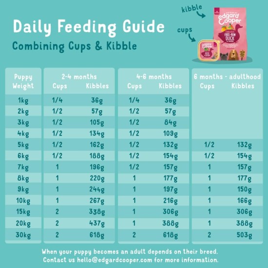 Edgard Cooper Puppy Grain-Free Wet Food for Dogs (Duck & Chicken 11 x 150 g), Natural Dog Food in Cup with Fresh Meat & Amino Acids, Gluten-Free, Protein Rich Edgard Cooper Puppy Grain-Free Wet Food for Dogs (Duck & Chicken 11 x 150 g), Natural Dog Food in Cup with Fresh Meat & Amino Acids, Gluten-Free, Protein Rich