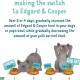 Edgard Cooper Puppy Grain-Free Wet Food for Dogs (Duck & Chicken 11 x 150 g), Natural Dog Food in Cup with Fresh Meat & Amino Acids, Gluten-Free, Protein Rich