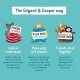 Edgard Cooper Puppy Grain-Free Wet Food for Dogs (Duck & Chicken 11 x 150 g), Natural Dog Food in Cup with Fresh Meat & Amino Acids, Gluten-Free, Protein Rich
