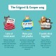 Edgard Cooper Puppy Grain-Free Wet Food for Dogs (Duck & Chicken 11 x 150 g), Natural Dog Food in Cup with Fresh Meat & Amino Acids, Gluten-Free, Protein Rich