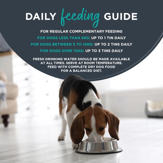 Encore 100% Natural Premium Wet Food for Dogs, Chicken Breast with Ham and Vegetables in Broth for Adult Cats - Pack of 12 x 156 g Cans Encore 100% Natural Premium Wet Food for Dogs, Chicken Breast with Ham and Vegetables in Broth for Adult Cats - Pack of 12 x 156 g Cans