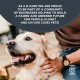 Encore 100% Natural Premium Wet Food for Dogs, Chicken Breast with Ham and Vegetables in Broth for Adult Cats - Pack of 12 x 156 g Cans Encore 100% Natural Premium Wet Food for Dogs, Chicken Breast with Ham and Vegetables in Broth for Adult Cats - Pack of 12 x 156 g Cans