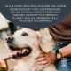 Encore 100% Natural Premium Wet Food for Dogs, Chicken Breast with Ham and Vegetables in Broth for Adult Cats - Pack of 12 x 156 g Cans Encore 100% Natural Premium Wet Food for Dogs, Chicken Breast with Ham and Vegetables in Broth for Adult Cats - Pack of 12 x 156 g Cans