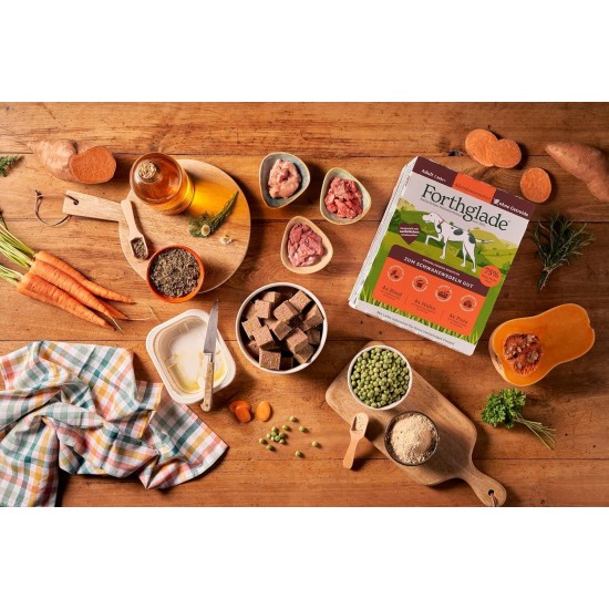 Forthglade Wet Food for Dogs (Mix Pack, 6 x 395 g Bowls) - Grain-Free Food with Beef, Turkey or Chicken & Vegetables for Adult Dogs from 1 Year Old, Hypoallergenic Dog Food Forthglade Wet Food for Dogs (Mix Pack, 6 x 395 g Bowls) - Grain-Free Food with Beef, Turkey or Chicken & Vegetables for Adult Dogs from 1 Year Old, Hypoallergenic Dog Food