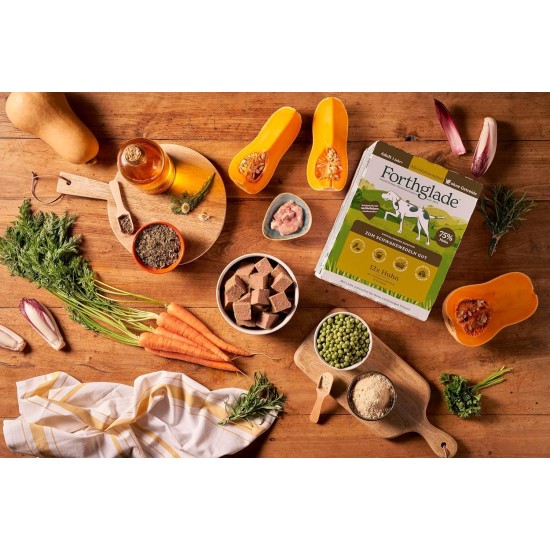 Forthglade Wet Food for Dogs (Mix Pack, 6 x 395 g Bowls) - Grain-Free Food with Beef, Turkey or Chicken & Vegetables for Adult Dogs from 1 Year Old, Hypoallergenic Dog Food Forthglade Wet Food for Dogs (Mix Pack, 6 x 395 g Bowls) - Grain-Free Food with Beef, Turkey or Chicken & Vegetables for Adult Dogs from 1 Year Old, Hypoallergenic Dog Food