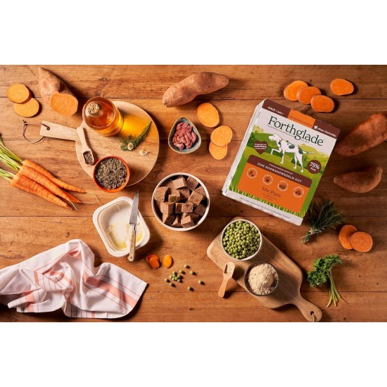 Forthglade Wet Food for Dogs (Mix Pack, 6 x 395 g Bowls) - Grain-Free Food with Beef, Turkey or Chicken & Vegetables for Adult Dogs from 1 Year Old, Hypoallergenic Dog Food Forthglade Wet Food for Dogs (Mix Pack, 6 x 395 g Bowls) - Grain-Free Food with Beef, Turkey or Chicken & Vegetables for Adult Dogs from 1 Year Old, Hypoallergenic Dog Food