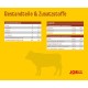 JosiDog Chicken in Sauce (12 x 415 g) | Adult | Premium Wet Food for Adult Dogs | with Chicken in Sauce with Vitamin D3 & E | Powered by Josera | Wet Dog Food | Complete Food | Pack of 12 JosiDog Chicken in Sauce (12 x 415 g) | Adult | Premium Wet Food for Adult Dogs | with Chicken in Sauce with Vitamin D3 & E | Powered by Josera | Wet Dog Food | Complete Food | Pack of 12