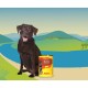 JosiDog Chicken in Sauce (12 x 415 g) | Adult | Premium Wet Food for Adult Dogs | with Chicken in Sauce with Vitamin D3 & E | Powered by Josera | Wet Dog Food | Complete Food | Pack of 12 JosiDog Chicken in Sauce (12 x 415 g) | Adult | Premium Wet Food for Adult Dogs | with Chicken in Sauce with Vitamin D3 & E | Powered by Josera | Wet Dog Food | Complete Food | Pack of 12