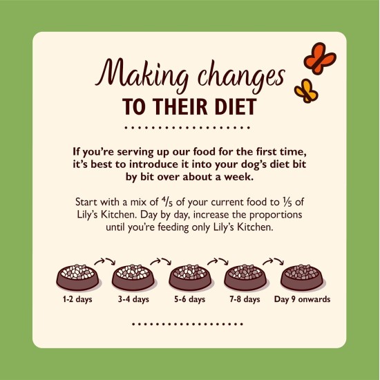 Lily's Kitchen - Wet Dog Food for Adult Dogs 6 Bowls (6 x 150 g) - Classic Dinner Multipack Lily's Kitchen - Wet Dog Food for Adult Dogs 6 Bowls (6 x 150 g) - Classic Dinner Multipack