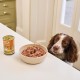 Lily's Kitchen - Wet Dog Food for Adult Dogs 6 Bowls (6 x 150 g) - Classic Dinner Multipack Lily's Kitchen - Wet Dog Food for Adult Dogs 6 Bowls (6 x 150 g) - Classic Dinner Multipack