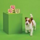 Lilys Kitchen | Organic Dinner - For Puppies | 11 X 150G Lilys Kitchen | Organic Dinner - For Puppies | 11 X 150G