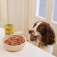 Lily's Kitchen Natural Complete Adult Wet Dog Food Lamb Hotpot (10 x 150 g) Lily's Kitchen Natural Complete Adult Wet Dog Food Lamb Hotpot (10 x 150 g)