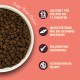 Lily's Kitchen Natural Wet Food for Puppy Food Dog Tin - Dog Food Grain-Free Recipe (6 x 400 g Cans) Lily's Kitchen Natural Wet Food for Puppy Food Dog Tin - Dog Food Grain-Free Recipe (6 x 400 g Cans)