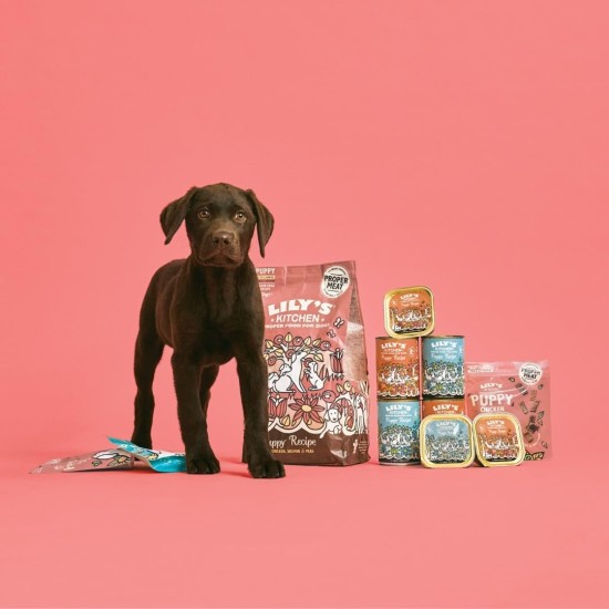 Lily's Kitchen Natural Wet Food for Puppy Food Dog Tin - Dog Food Grain-Free Recipe (6 x 400 g Cans) Lily's Kitchen Natural Wet Food for Puppy Food Dog Tin - Dog Food Grain-Free Recipe (6 x 400 g Cans)