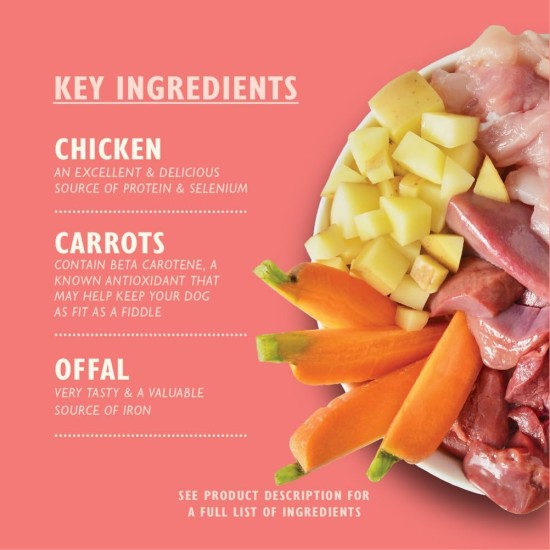 Lily's Kitchen Natural Wet Food for Puppy Food Dog Tin - Dog Food Grain-Free Recipe (6 x 400 g Cans) Lily's Kitchen Natural Wet Food for Puppy Food Dog Tin - Dog Food Grain-Free Recipe (6 x 400 g Cans)