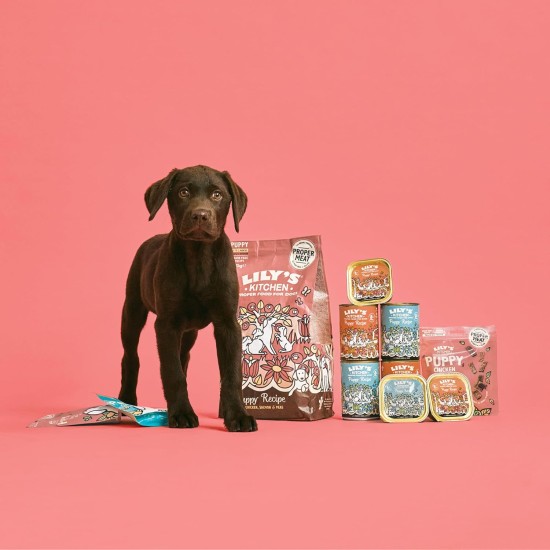 Lily's Kitchen Natural Wet Food for Puppy Food Dog Tin - Dog Food Grain-Free Recipe (6 x 400 g Cans) Lily's Kitchen Natural Wet Food for Puppy Food Dog Tin - Dog Food Grain-Free Recipe (6 x 400 g Cans)