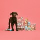 Lily's Kitchen Natural Wet Food for Puppy Food Dog Tin - Dog Food Grain-Free Recipe (6 x 400 g Cans) Lily's Kitchen Natural Wet Food for Puppy Food Dog Tin - Dog Food Grain-Free Recipe (6 x 400 g Cans)