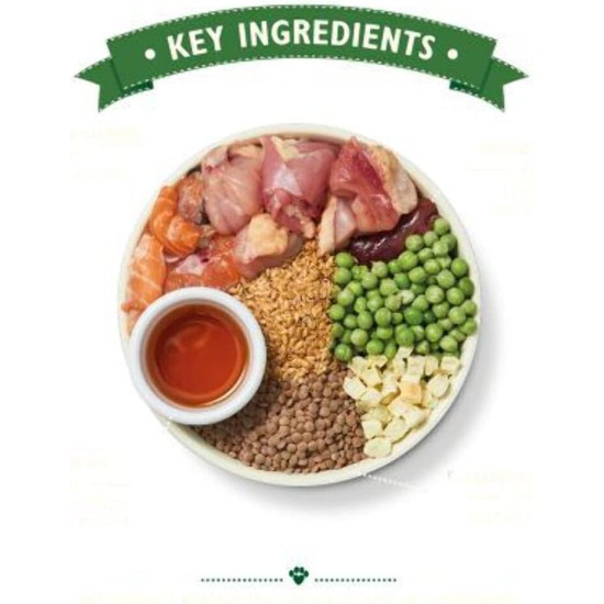 Lily's Kitchen Natural Wet Food for Puppy Food Dog Tin - Dog Food Grain-Free Recipe (6 x 400 g Cans) Lily's Kitchen Natural Wet Food for Puppy Food Dog Tin - Dog Food Grain-Free Recipe (6 x 400 g Cans)