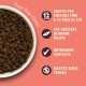 Lily's Kitchen Natural Wet Food for Puppy Food Dog Tin - Dog Food Grain-Free Recipe (6 x 400 g Cans) Lily's Kitchen Natural Wet Food for Puppy Food Dog Tin - Dog Food Grain-Free Recipe (6 x 400 g Cans)