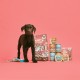 Lily's Kitchen Natural Wet Food for Puppy Food Dog Tin - Dog Food Grain-Free Recipe (6 x 400 g Cans) Lily's Kitchen Natural Wet Food for Puppy Food Dog Tin - Dog Food Grain-Free Recipe (6 x 400 g Cans)